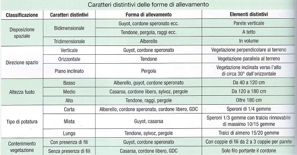 Forme di allevamento